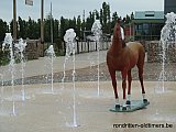 Zandlemig Vlaanderen